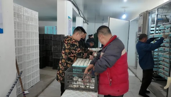 360截圖20260409110649774.jpg