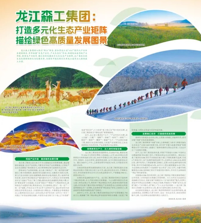 人民日报 专版 | 龙江森工集团：打造多元化生态产业矩阵 描绘绿色高质量发展图景