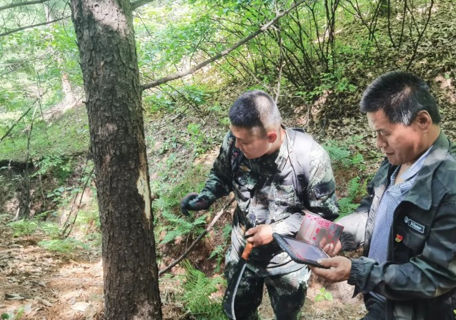 【生態立企】林口：嚴守標準 底數摸排 全力攻堅林地調查任務