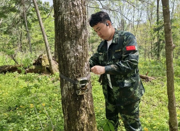 【生態立企】黑龍江大峽谷國家級自然保護區：全面完成春季紅外相機布設 筑牢野生動物監測防線
