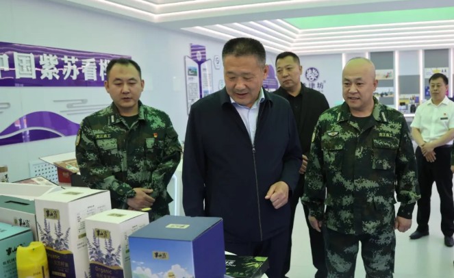 吳慶軍到樺南局公司調研檢查