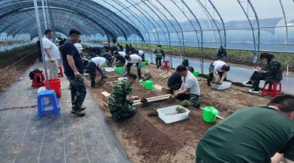 【森工喜訊】龍江森工集團在全省林草種苗工技能競賽中斬獲多項榮譽
