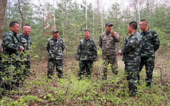 【人才強(qiáng)企】山河屯：強(qiáng)化業(yè)務(wù)培訓(xùn) 推動森林可持續(xù)經(jīng)營