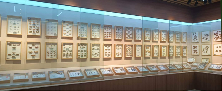 標本室
