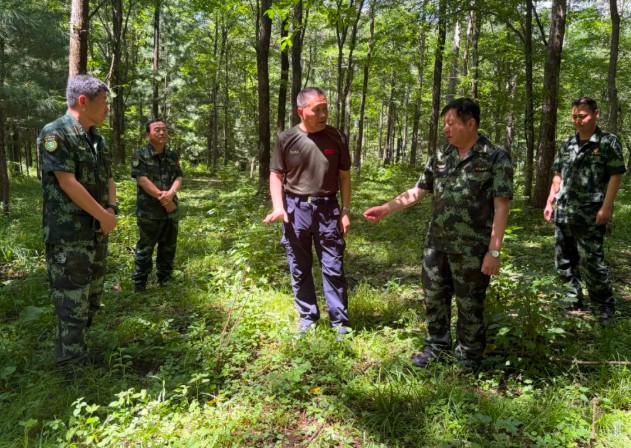 吳慶軍到方正、山河屯局公司調(diào)研檢查