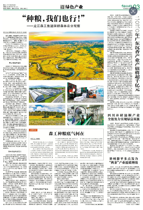 【媒体关注】中国绿色时报 | “种粮，我们也行！”——龙江森工集团深耕森林农业观察