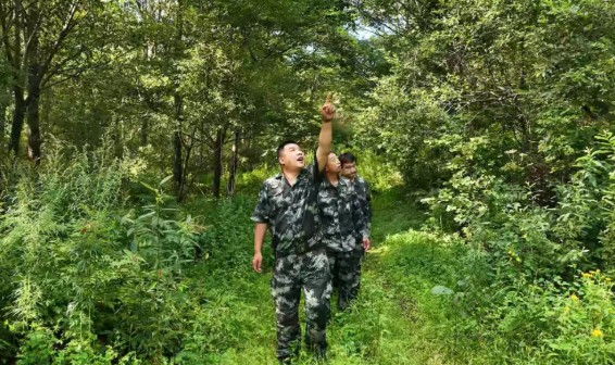【林海星空】雙鴨山徐偉：扎根林海礪初心 實干擔當踐使命