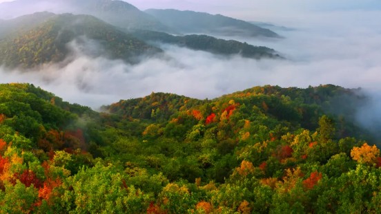 龍江森工鳳凰山景區(qū)：亮相“善行邊疆”文旅產(chǎn)業(yè)資源對(duì)接會(huì)